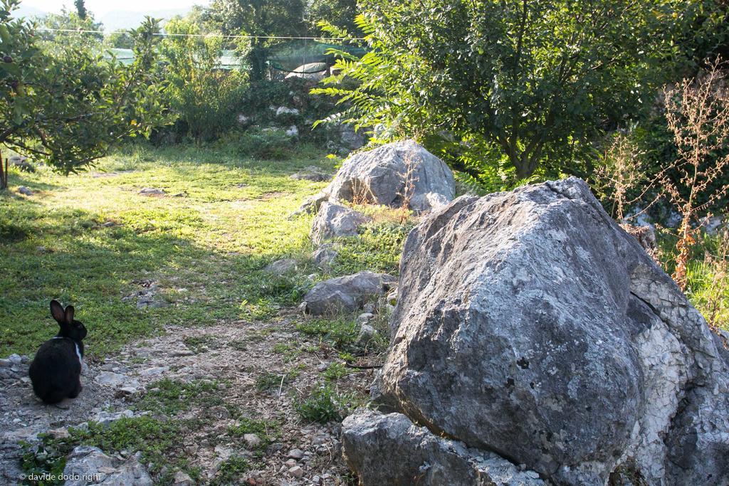 Agrotourism Matusko ξενώνας Neum Εξωτερικό φωτογραφία